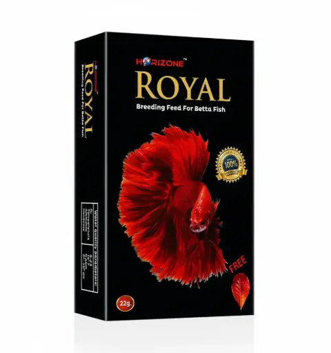 Royal betta fish breading food